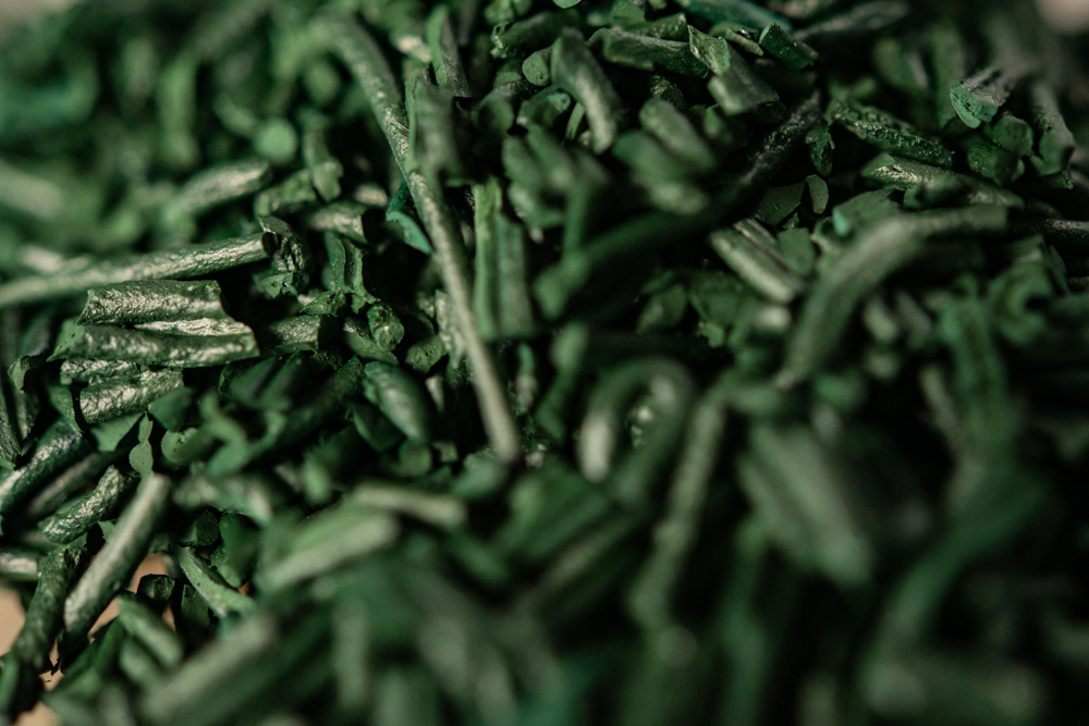 Spiruline_CHV1003
